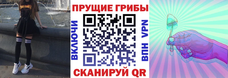 Псилоцибиновые грибы мицелий  Городовиковск 