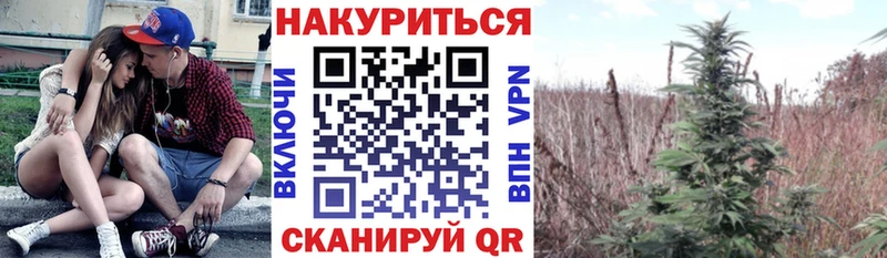 Канабис AK-47  Городовиковск 